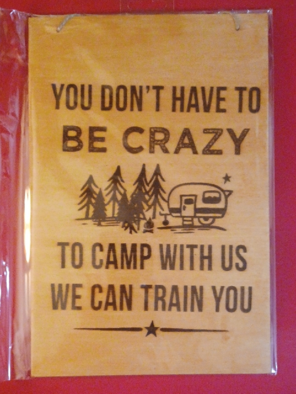 8x10 Funny Camping Wall Sign - Natural Wood with Black Print